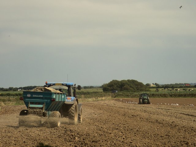 Mest en compost veredelen met lavameel: de kringloop van stal naar land